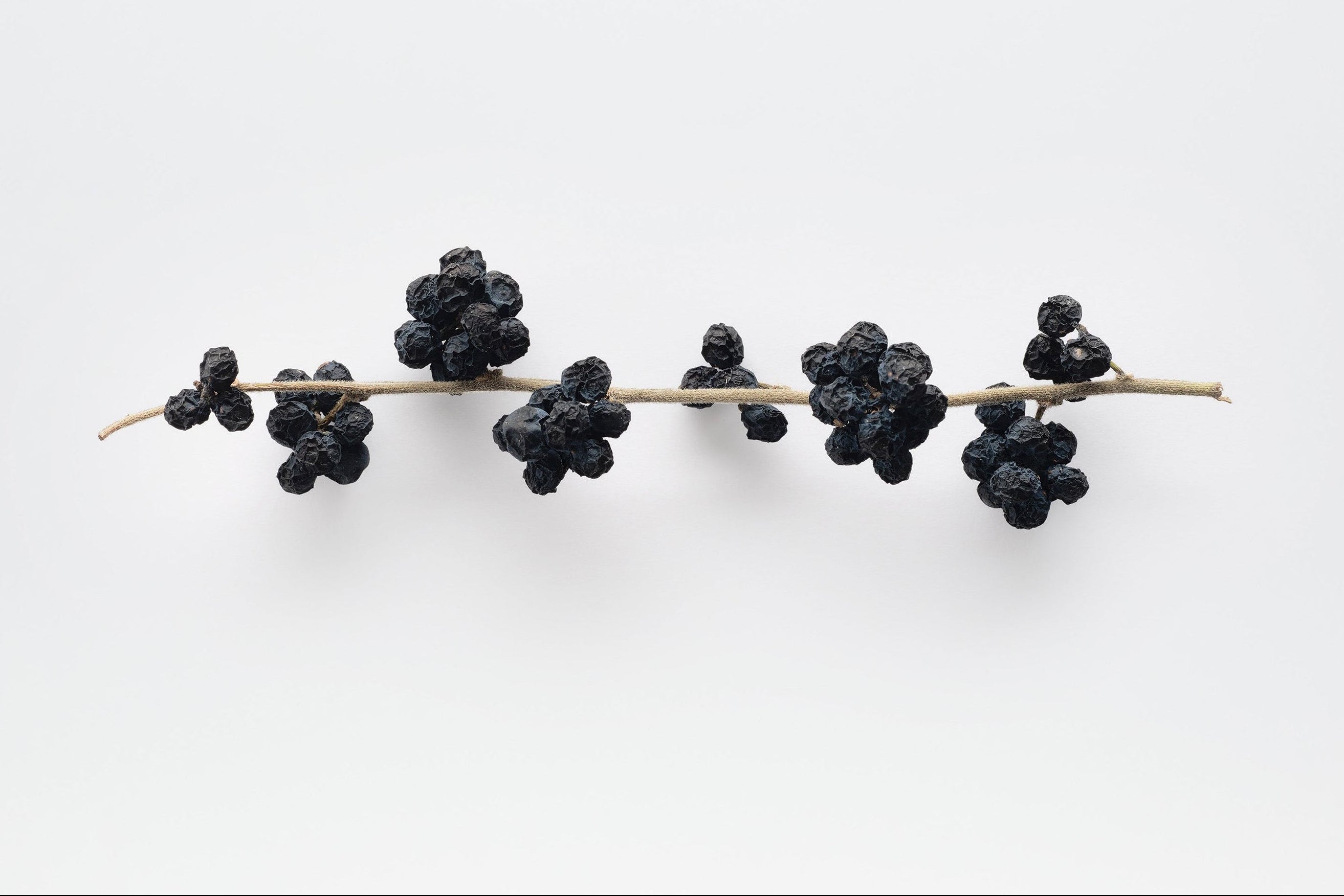 PORTRAIT #05 홍양숙 / Yangsuk Hong