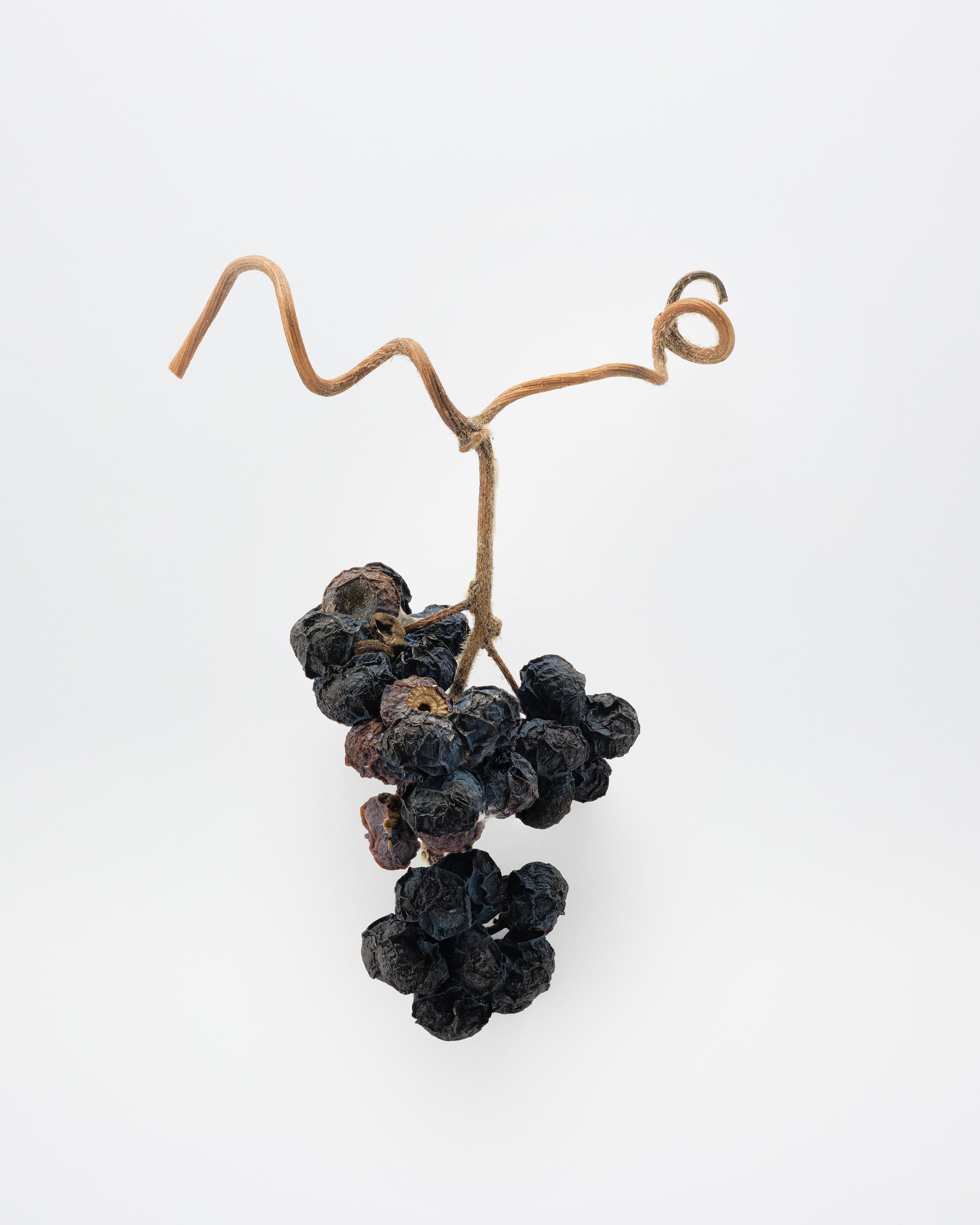 PORTRAIT #05 홍양숙 / Yangsuk Hong